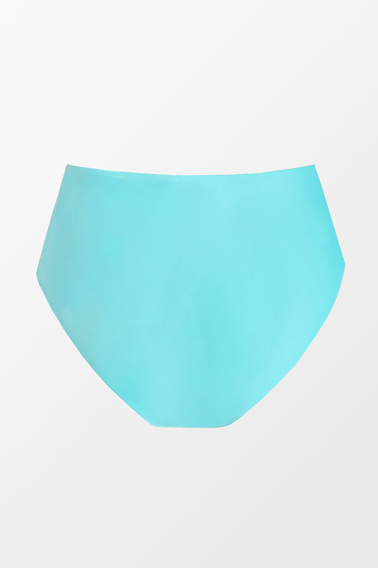 Luminescent Shirred High Waist Plus Size Bikini Bottoms