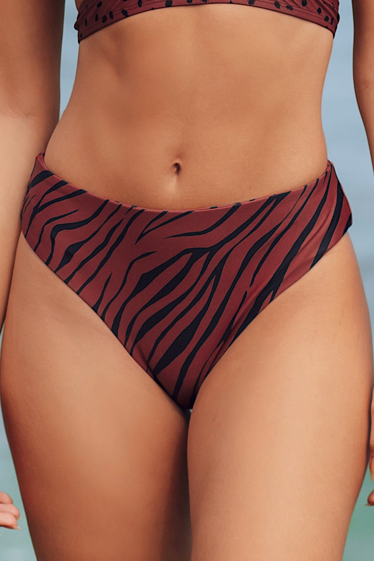 Reversible Zebra Wave Mini Dot Mid Rise Hipster Bikini Bottoms